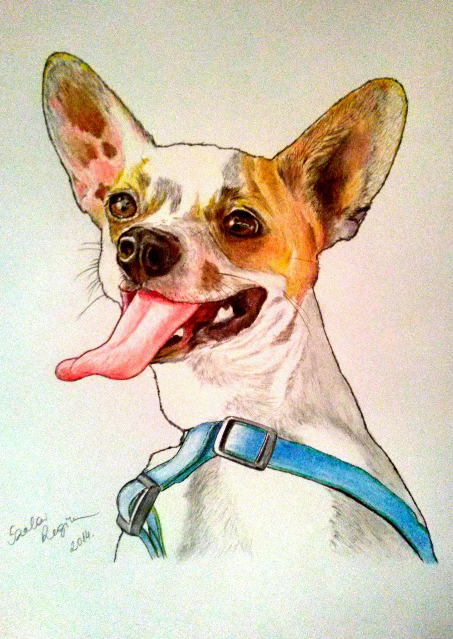 kutya portré,színes